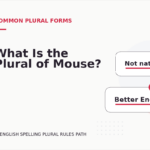 What Is the Plural of Mouse?