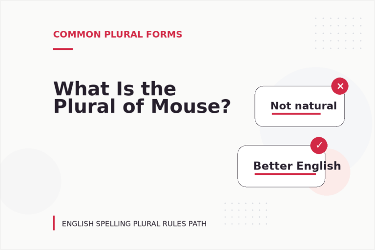What Is the Plural of Mouse?