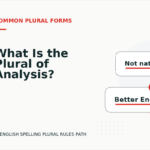 What Is the Plural of Analysis?