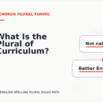 What Is the Plural of Curriculum?