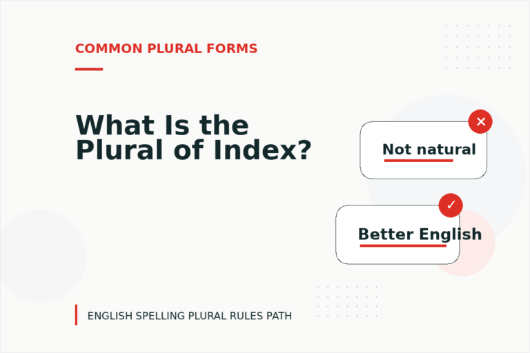 What Is the Plural of Index?