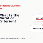 What Is the Plural of Criterion?