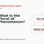 What Is the Plural of Phenomenon?