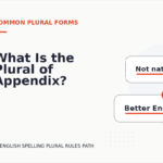 What Is the Plural of Appendix?