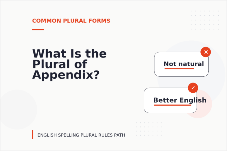 What Is the Plural of Appendix?