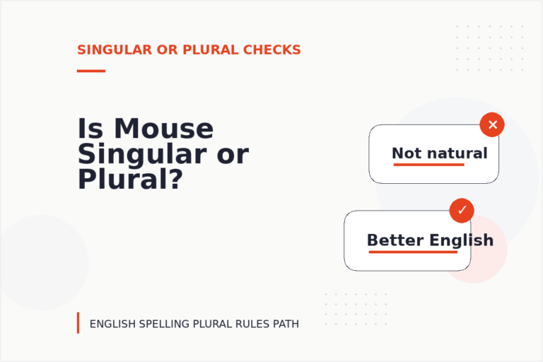 Is Mouse Singular or Plural?