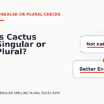 Is Cactus Singular or Plural?