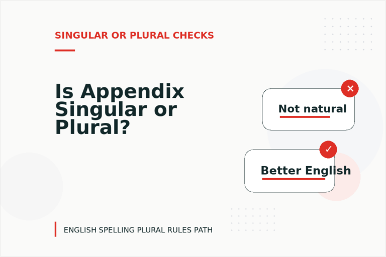 Is Appendix Singular or Plural?
