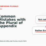 Common Mistakes with the Plural of Appendix